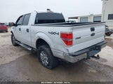 FORD F-150 XLT 1FTFW1EF0EKF28919 снимка