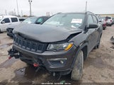 JEEP COMPASS TRAILHAWK 4X4 3C4NJDDB9LT111739 снимка