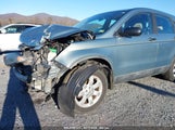 HONDA CR-V LX 5J6RE4H39AL022491 fotografie