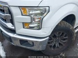 Ford F-150 Xlt 1FTFW1EF9GKE35061 снимка