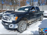 FORD F-150 XLT 1FTFW1EF8DKE91407 снимка