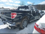 FORD F-150 XLT 1FTFW1EF8DKE91407 снимка