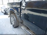 FORD F-150 XLT 1FTFW1EF8DKE91407 снимка