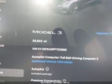 TESLA MODEL 3 REAR-WHEEL DRIVE 5YJ3E1EA8PF700690 снимка