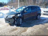 FORD ESCAPE TITANIUM 1FMCU9JX6FUB86304 снимка