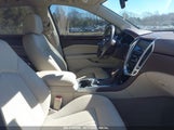 CADILLAC SRX LUXURY COLLECTION 3GYFNBE38GS576667 fotografie
