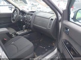 MAZDA TRIBUTE I SPORT 4F2CZ92799KM01517 снимка