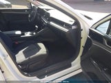 KIA K5 LXS 5XXG14J27PG224300 photo