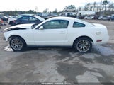 FORD MUSTANG V6 DELUXE/V6 PREMIUM 1ZVFT80N755124348 fotografie