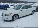 HONDA ACCORD 3.5 EX-L 1HGCP3F8XBA024232 снимка