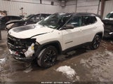 JEEP COMPASS TRAILHAWK 4X4 3C4NJDDB2JT328269 снимка