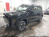 JEEP RENEGADE SPORT 4X4 ZACCJBAB7JPH44891 photo