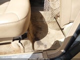 MERCEDES-BENZ GL 450 4MATIC 4JGBF71E28A351455 снимка