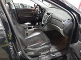 CADILLAC SRX PREMIUM COLLECTION 3GYFNFEY7AS547381 снимка