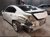 ACURA TL 3.5 19UUA8F59AA026240 снимка
