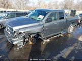 DODGE RAM 1500 SLT/SPORT/TRX 1D7RV1GT4AS192291 fotografie