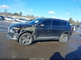 HYUNDAI SANTA FE SEL 5NMS6DAJ1MH342715 photo