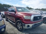 TOYOTA TUNDRA SR5 5.7L V8 5TBEV54178S479381 fotografie