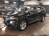 HYUNDAI TUCSON SEL 5NMJBCAE8PH193034 снимка