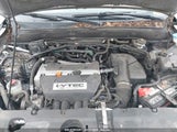 HONDA CR-V EX JHLRD788X5C006959 снимка