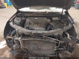 CHEVROLET EQUINOX LT 2CNFLNEY8A6323116 снимка