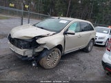 LINCOLN MKX 2LMDJ6JK6EBL06238 fotografie