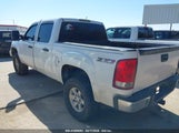 GMC SIERRA 1500 SHELBY KR/SLE1/WORK TRUCK 2GTEK13C381320019 fotografie