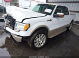 FORD F-150 FX2 SPORT/HARLEY-DAVIDSON/KING RANCH/LARIAT/PLATINUM/XL/XLT 1FTFW1CV8AKE62303 fotografie
