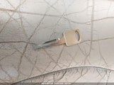 LINCOLN TOWN CAR EXECUTIVE 1LNLM81W7VY612655 снимка