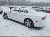 DODGE CHARGER POLICE 2C3CDXAG6DH578275 снимка