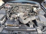 FORD MUSTANG V6 1ZVHT80N265139074 снимка