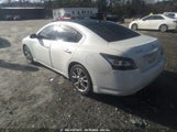 NISSAN MAXIMA 3.5 SV 1N4AA5AP0EC450012 снимка