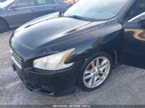 NISSAN MAXIMA 3.5 SV 1N4AA5AP1AC830793 снимка