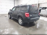 FORD ESCAPE XLT 1FMCU93168KE10789 снимка