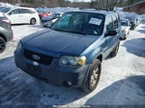 FORD ESCAPE XLT 1FMCU931X5KA97600 снимка