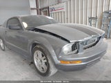 FORD MUSTANG V6 DELUXE/V6 PREMIUM 1ZVFT80N975246907 photo