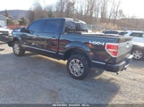 FORD F-150 PLATINUM 1FTFW1ETXDFD91839 снимка