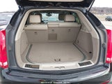 CADILLAC SRX PERFORMANCE COLLECTION 3GYFNHE34DS595277 снимка