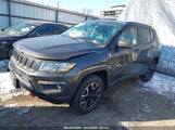 JEEP COMPASS TRAILHAWK 4X4 3C4NJDDB3KT602029 снимка