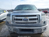 FORD F-150 XLT 1FTFW1ET0DFD70773 снимка
