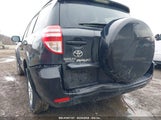 TOYOTA RAV4 LIMITED V6 JTMZK31VX9D000106 photo