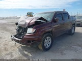 HONDA RIDGELINE RTS 5FPYK16449B100430 снимка