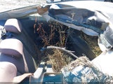 Honda Civic Lx 2HGFG3A5XDH500686 снимка
