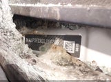 Ford Focus Se 1FAHP3F2XCL244286 photo