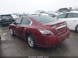 NISSAN MAXIMA 3.5 SV 1N4AA5AP1DC819152 снимка