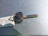 Miniaturka zdjęcia 11