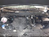 KIA CARNIVAL MPV SX PRESTIGE KNDNE5K33S6467800 photo