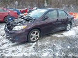 TOYOTA COROLLA LE SPECIAL EDITION 2T1BU4EE0DC095664 снимка
