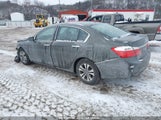 HONDA ACCORD LX 1HGCR2F36EA221749 снимка