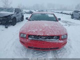 FORD MUSTANG V6 1ZVFT80N765246595 снимка